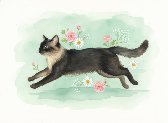 Birman Cat watercolour portrait