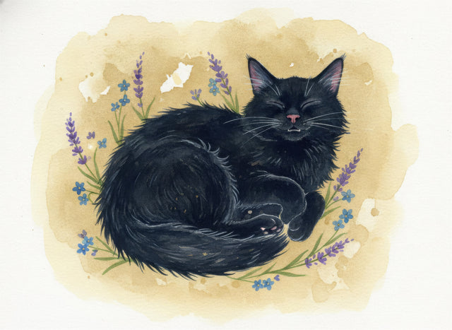 Norwegian Forest Cat watercolour portrait