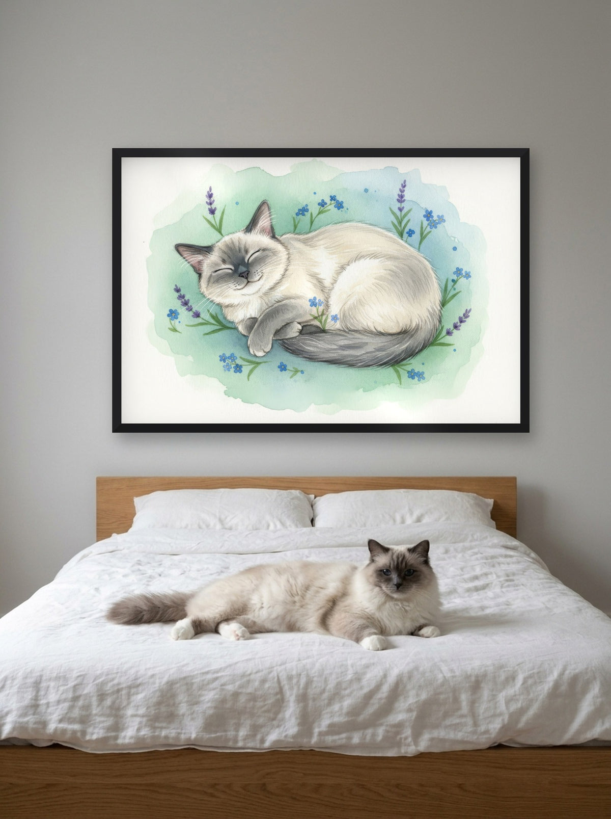 Blue Point - Birman Cat watercolour-style print, framed on the wall above a birman cat on a bed (AI-generated photo)