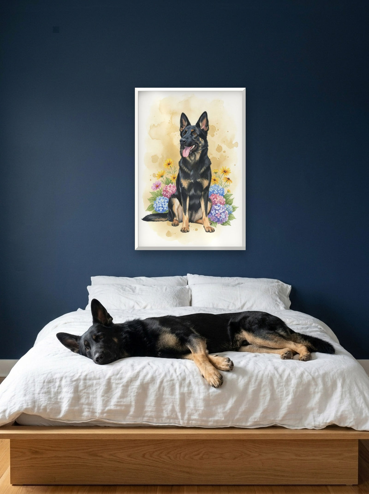 Bicolour - German Shepherd watercolour-style print, framed on the wall above a german shepherd on a bed (AI-generated photo)