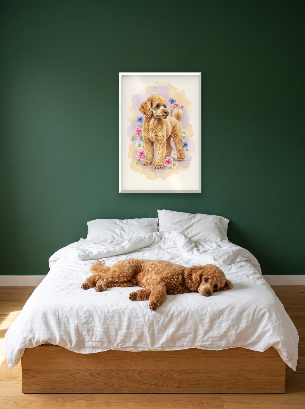 Apricot - Miniature Poodle watercolour-style print, framed on the wall above a miniature poodle on a bed (AI-generated photo)